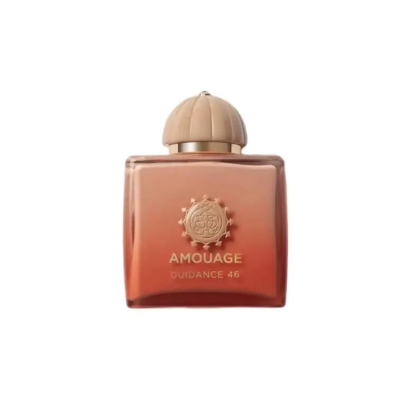 AMOUAGE – GUIDANCE 46 | PR2299 – 100ML – 701666410980