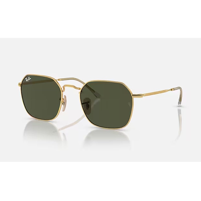 RAY-BAN – 0RB3694|001/31|55| | SG493